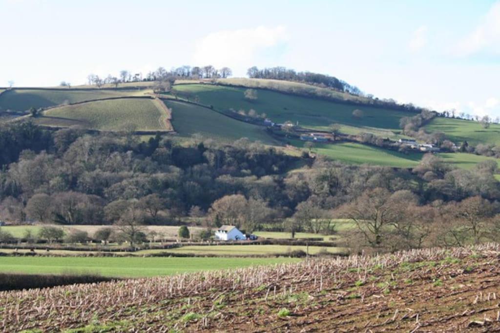 Rural Devon Retreat In Stunning Exe Valley. Exeter Buitenkant foto